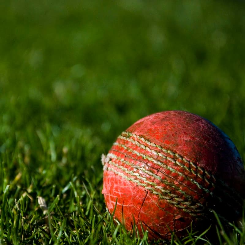 Kookaburra Turf Cricket Ball (Pack of 6)